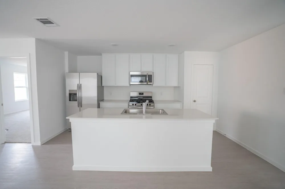 2515 Mint Garnet Drive Rosharon, TX 77583