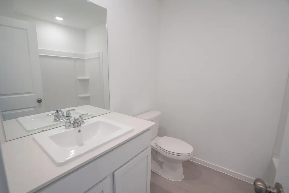 2515 Mint Garnet Drive Rosharon, TX 77583