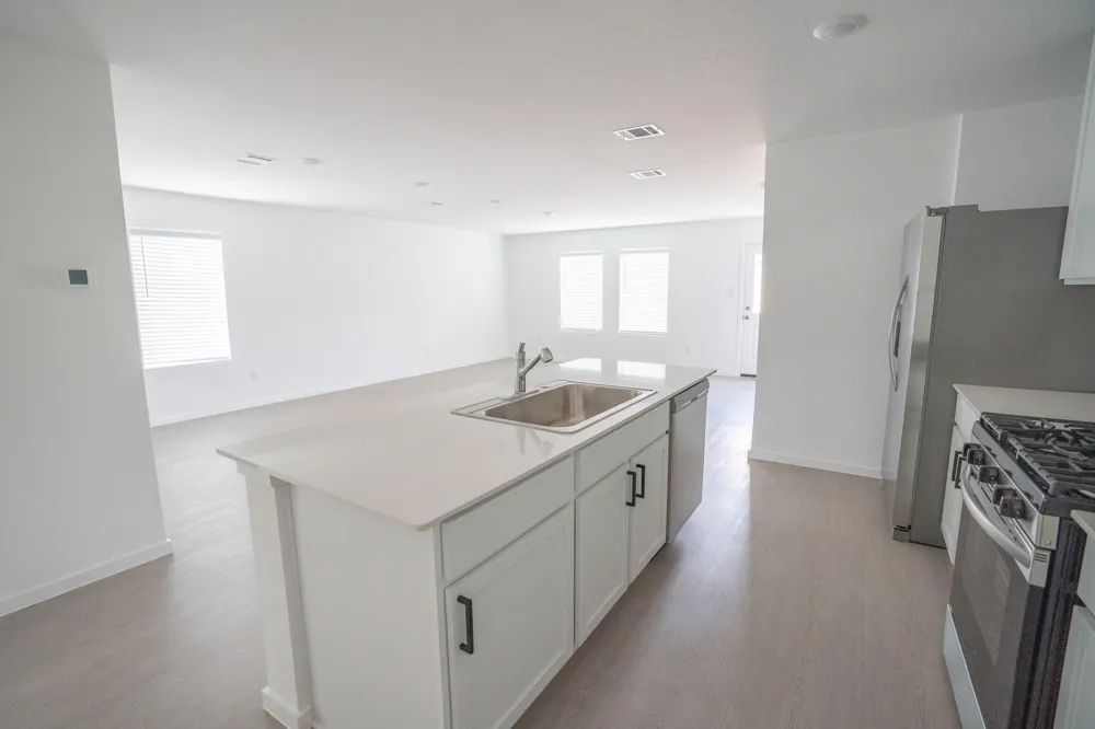 2515 Mint Garnet Drive Rosharon, TX 77583