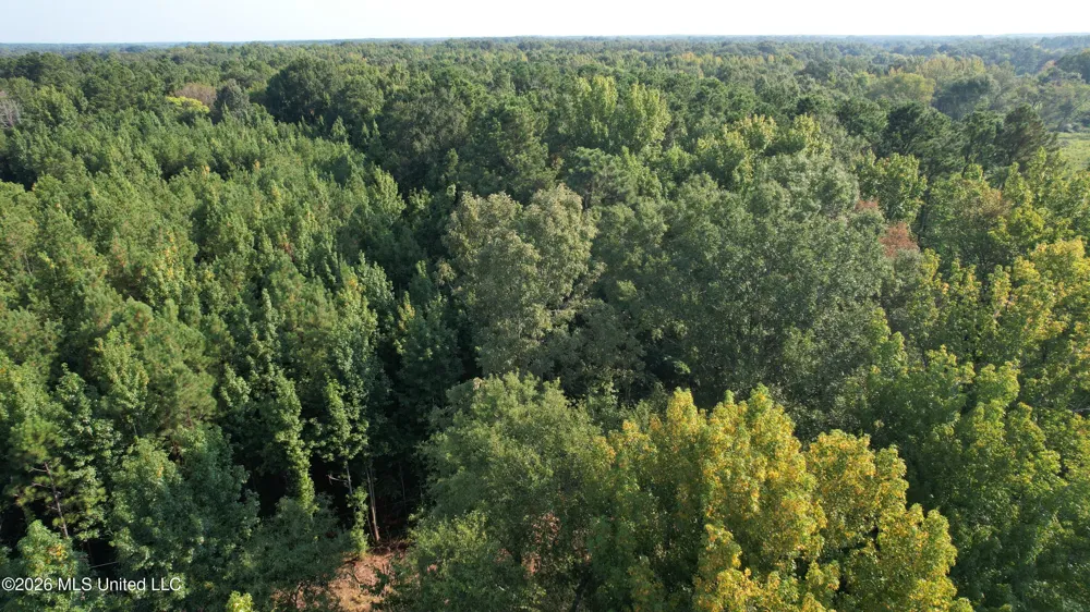 0 Dampeer Road Canton, MS 39046