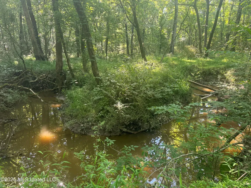 0 Dampeer Road Canton, MS 39046