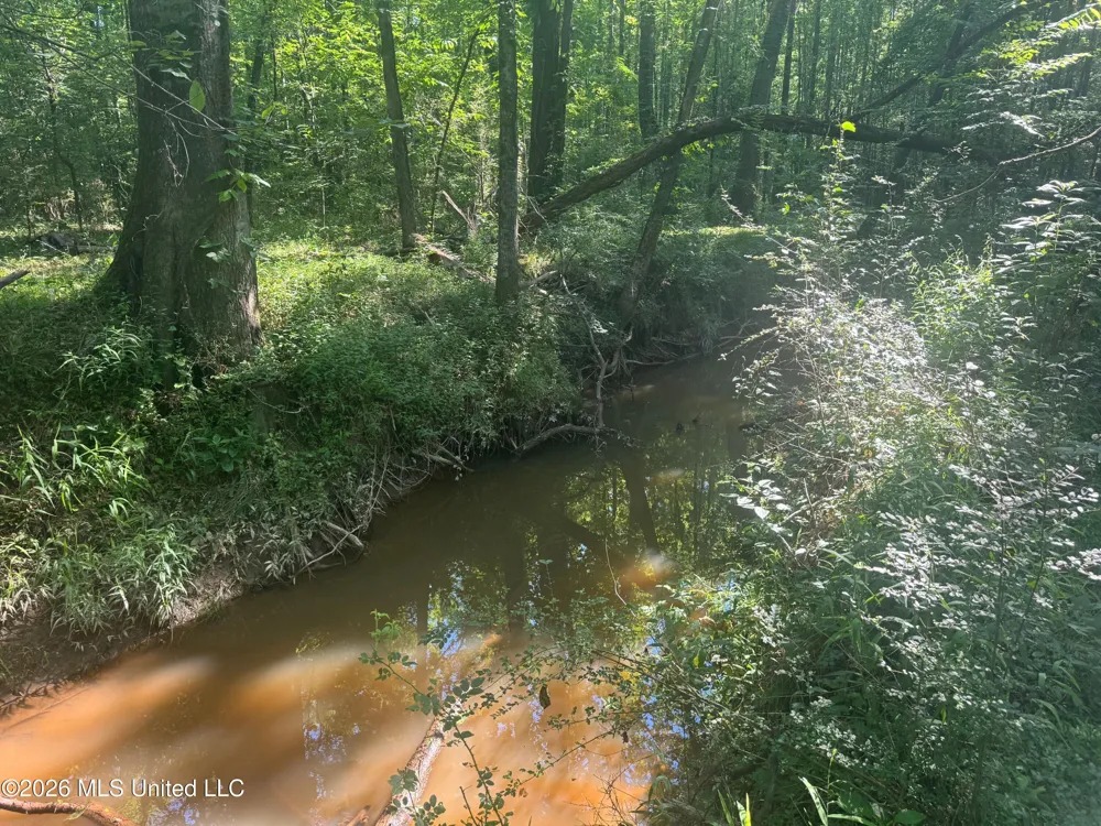 0 Dampeer Road Canton, MS 39046