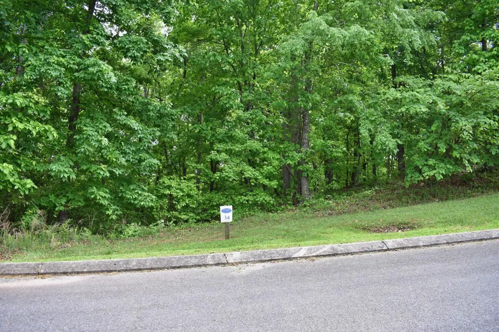 450 Hidden Forest Trail Spring City, TN 37381