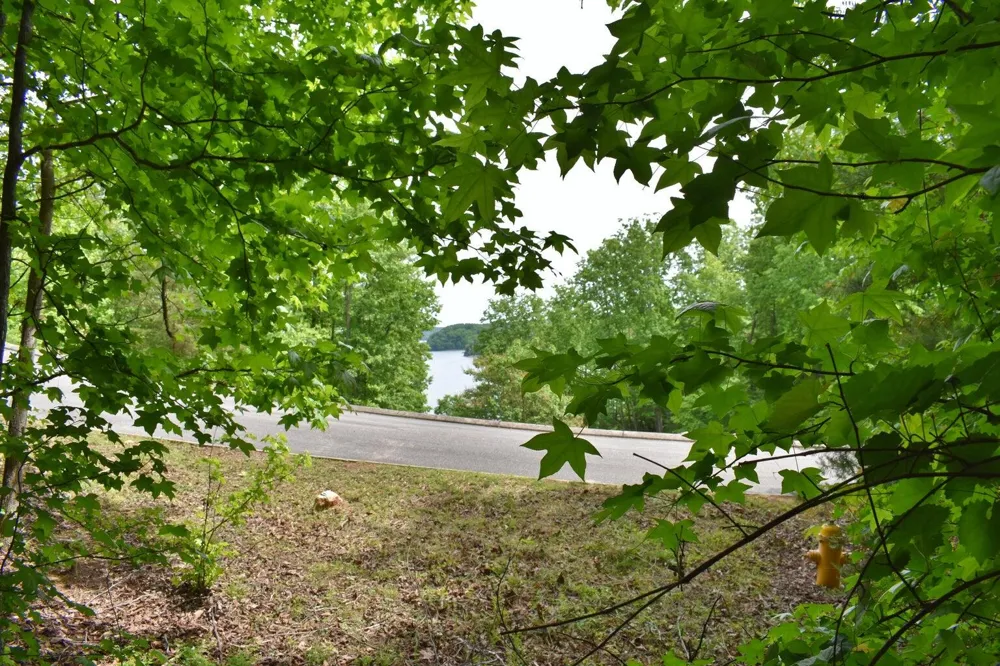 450 Hidden Forest Trail Spring City, TN 37381