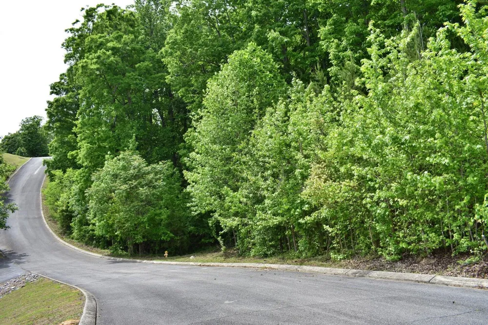450 Hidden Forest Trail Spring City, TN 37381