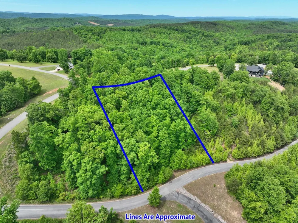 450 Hidden Forest Trail Spring City, TN 37381