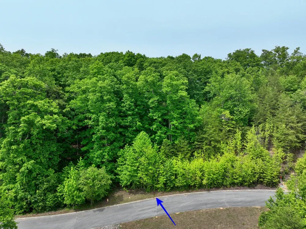 450 Hidden Forest Trail Spring City, TN 37381