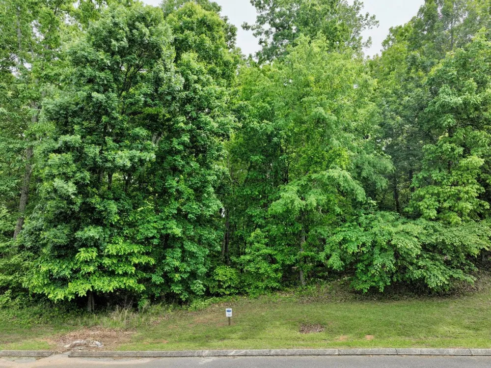 450 Hidden Forest Trail Spring City, TN 37381