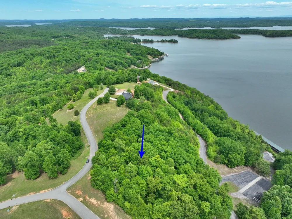 450 Hidden Forest Trail Spring City, TN 37381