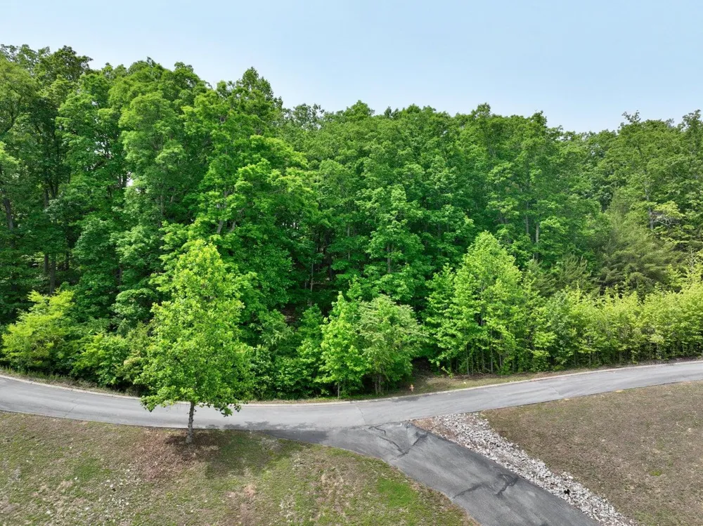 450 Hidden Forest Trail Spring City, TN 37381