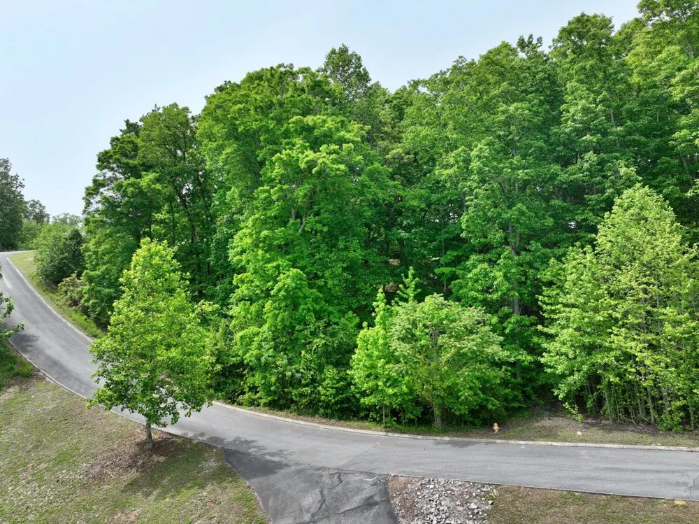 450 Hidden Forest Trail Spring City, TN 37381