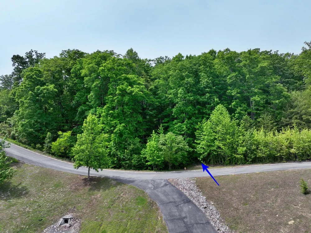 450 Hidden Forest Trail Spring City, TN 37381