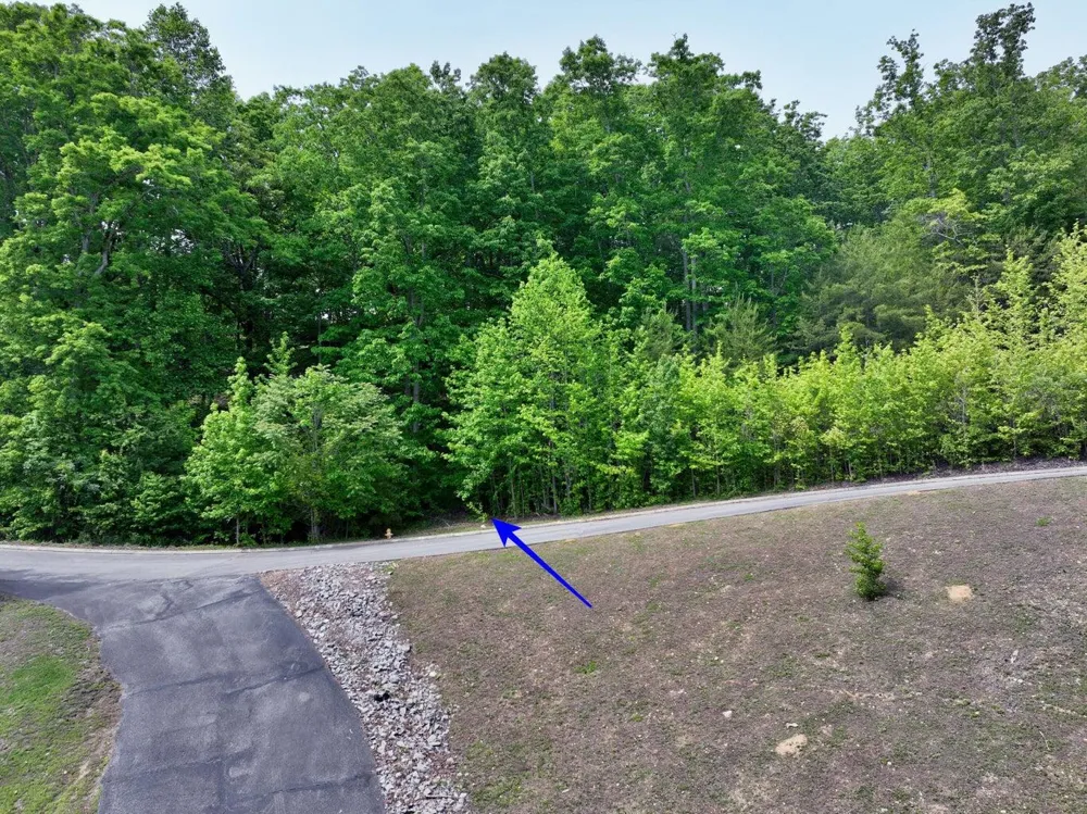 450 Hidden Forest Trail Spring City, TN 37381