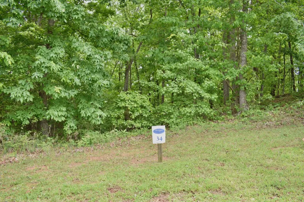 450 Hidden Forest Trail Spring City, TN 37381