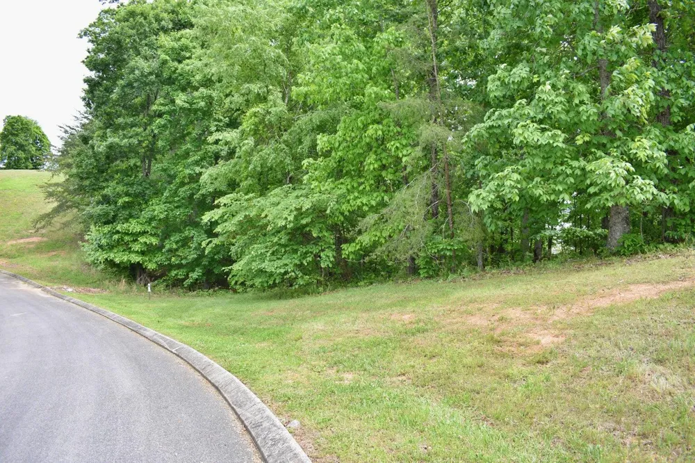 450 Hidden Forest Trail Spring City, TN 37381