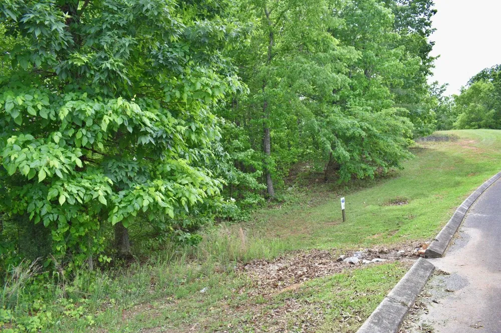 450 Hidden Forest Trail Spring City, TN 37381