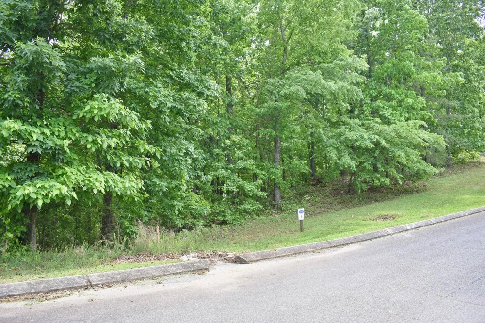 450 Hidden Forest Trail Spring City, TN 37381