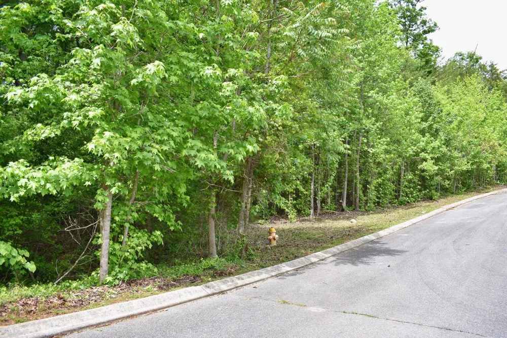 450 Hidden Forest Trail Spring City, TN 37381