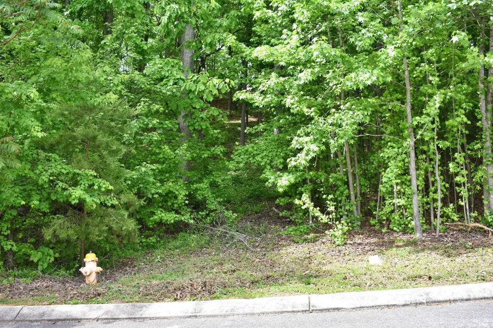 450 Hidden Forest Trail Spring City, TN 37381