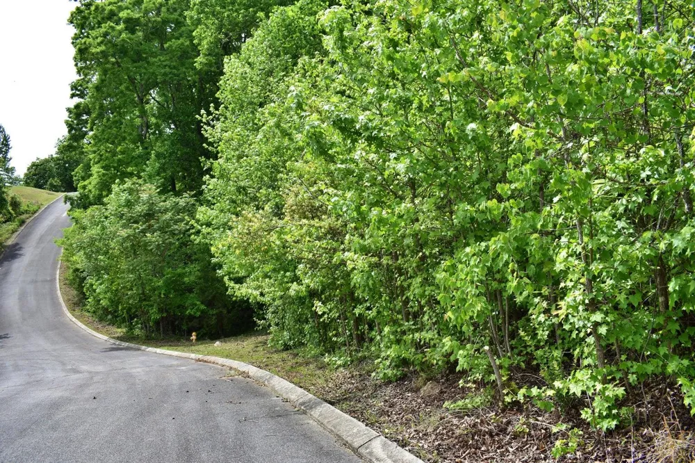 450 Hidden Forest Trail Spring City, TN 37381