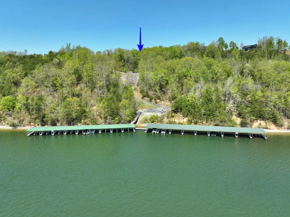 450 Hidden Forest Trail Spring City, TN 37381