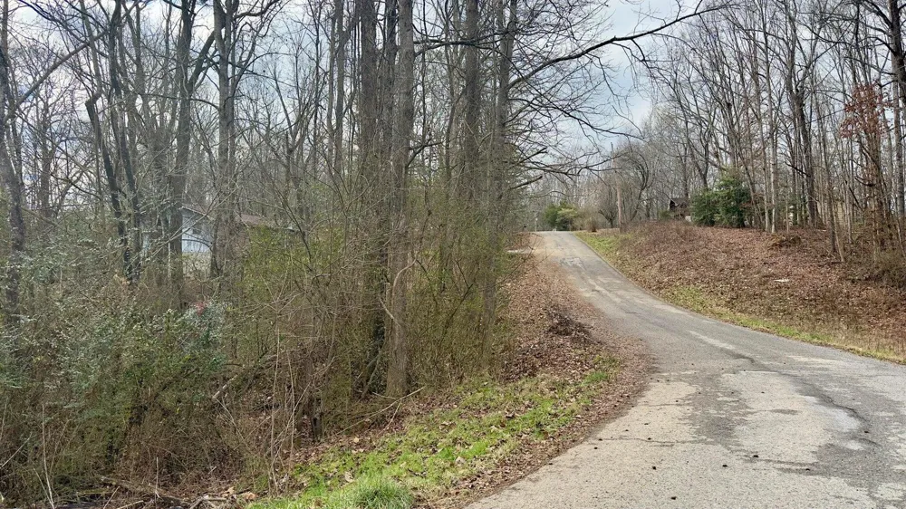 Adams Street Spring City, TN 37381