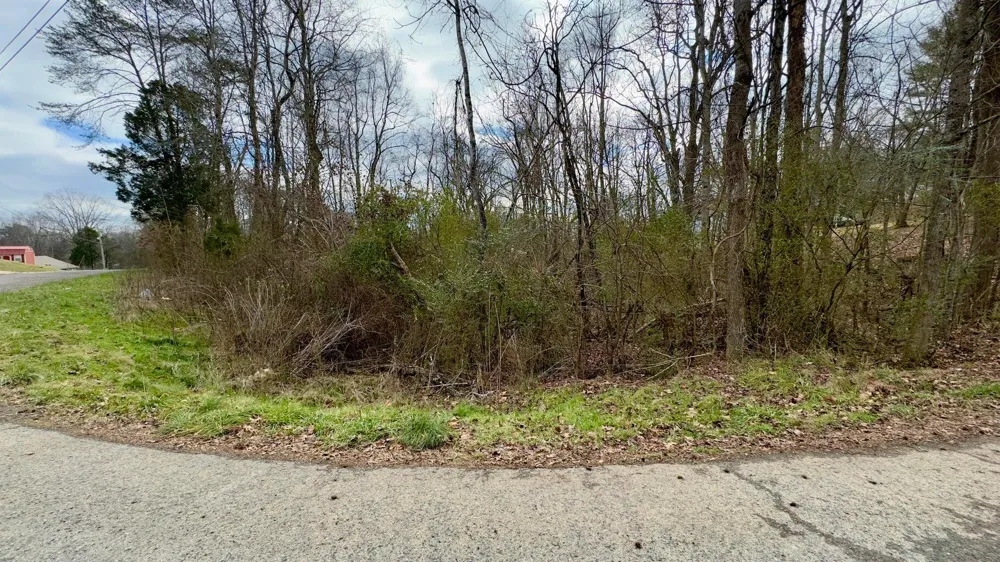 Adams Street Spring City, TN 37381