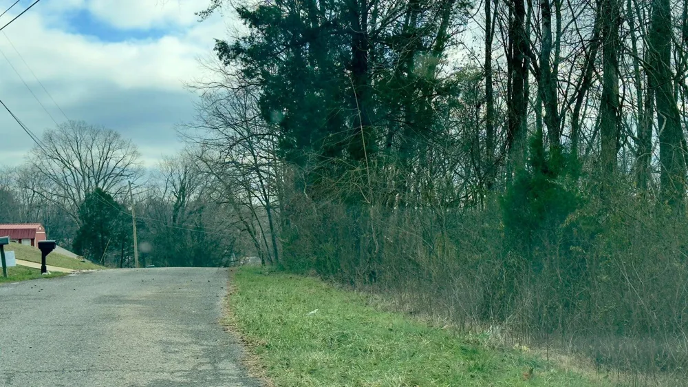 Adams Street Spring City, TN 37381