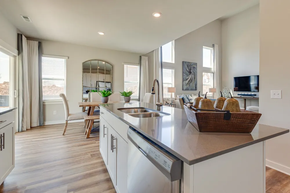 1009 TEDDYS WAY Lewisburg, TN 37091