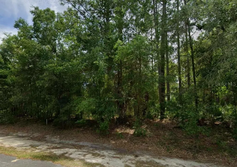 660 W ANDERSON LANE Citrus Springs, FL 34434