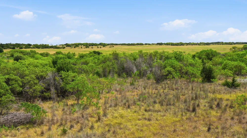 1008 Enchanted Rock Court Graford, TX 76449