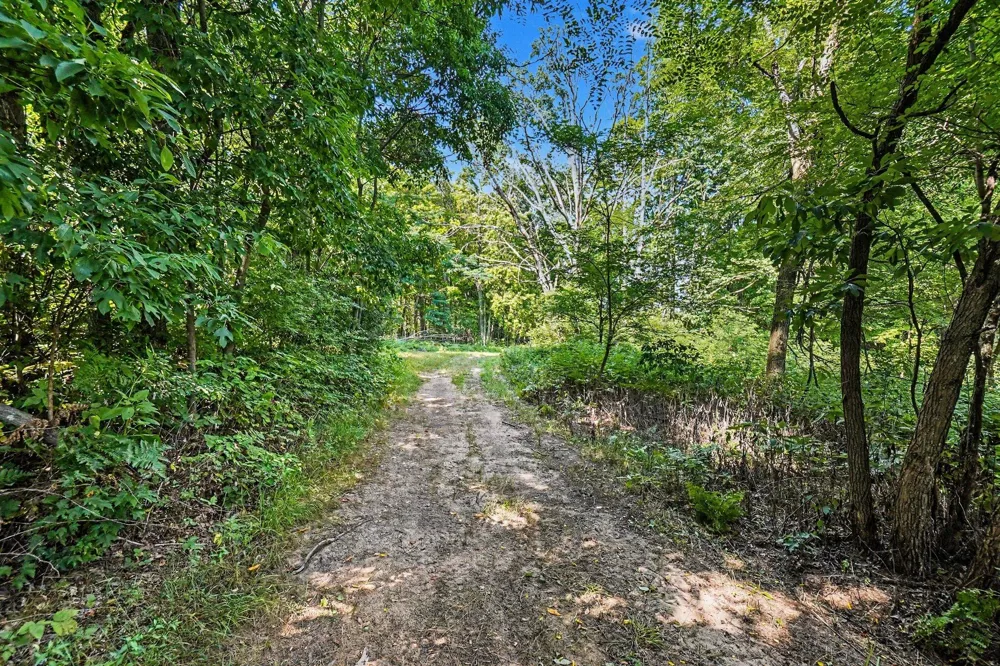 1 E Bear Paw Drive White Cloud, MI 49349