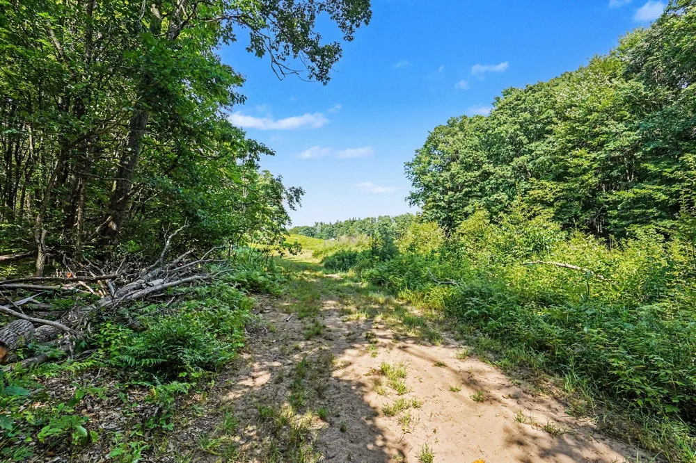 1 E Bear Paw Drive White Cloud, MI 49349