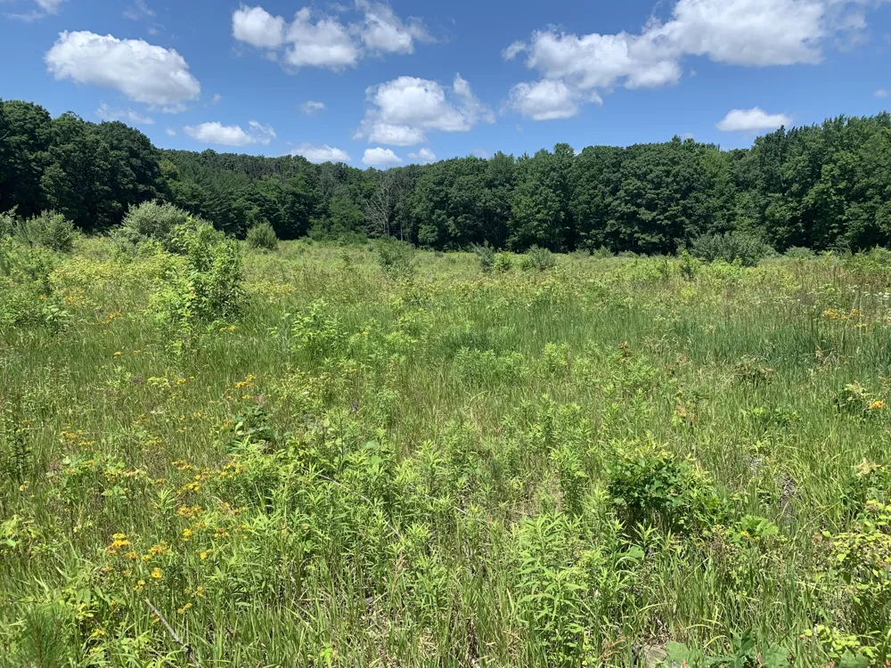 1 E Bear Paw Drive White Cloud, MI 49349
