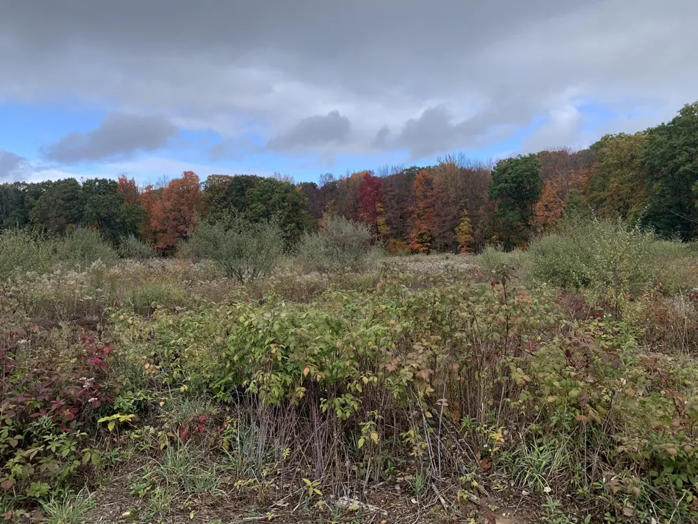 1 E Bear Paw Drive White Cloud, MI 49349