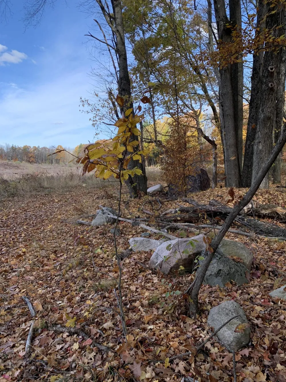 1 E Bear Paw Drive White Cloud, MI 49349