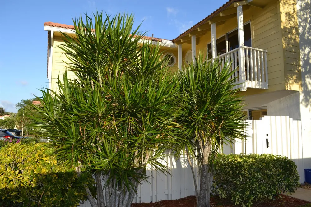 176 Seabreeze Circle Jupiter, FL 33477
