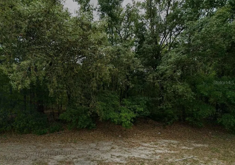 588 W ANDERSON LANE Citrus Springs, FL 34434