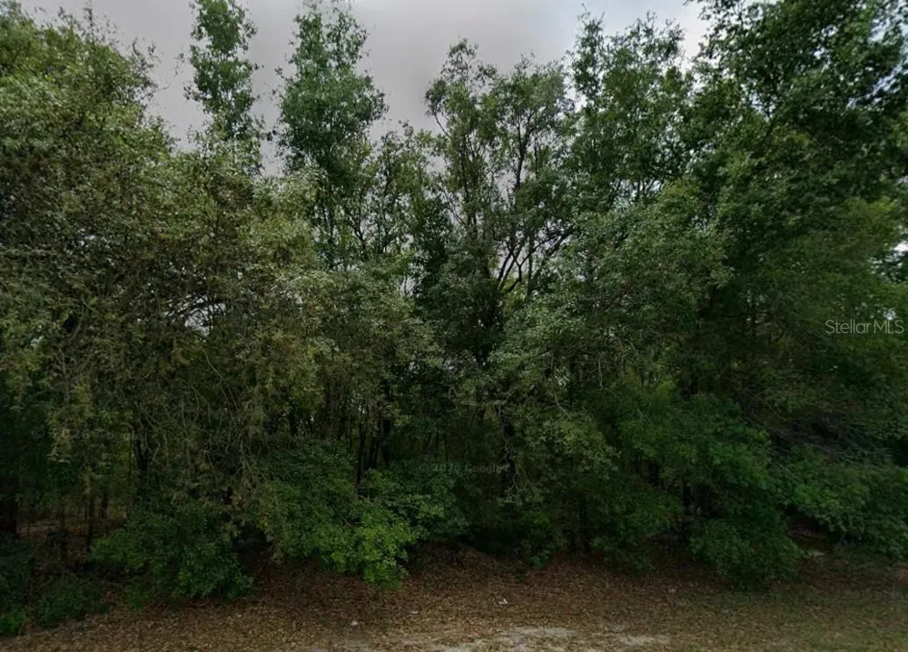 588 W ANDERSON LANE Citrus Springs, FL 34434
