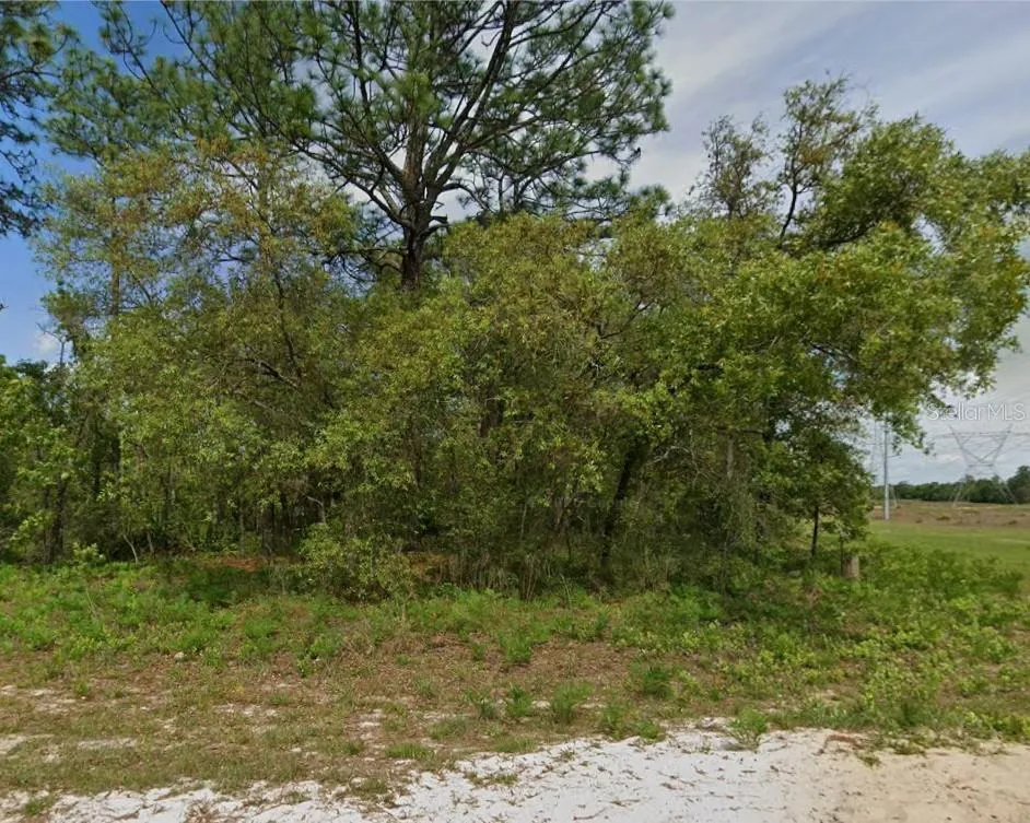 6895 VARSITY AVENUE Citrus Springs, FL 34434