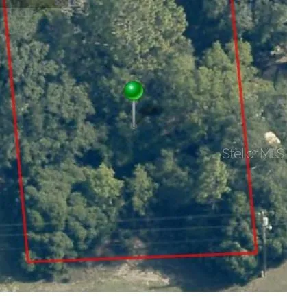 2059 W PARAGON LANE Citrus Springs, FL 34434