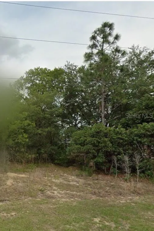 2059 W PARAGON LANE Citrus Springs, FL 34434