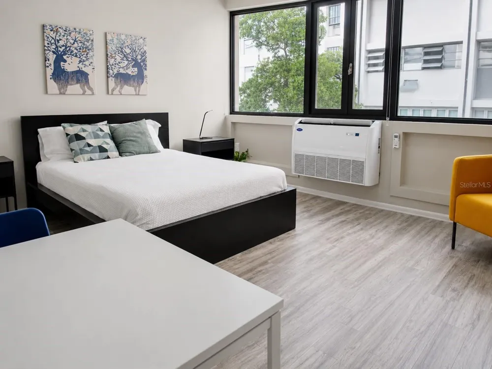 63 KING'S COURT STREET #3D San Juan, PR 00911