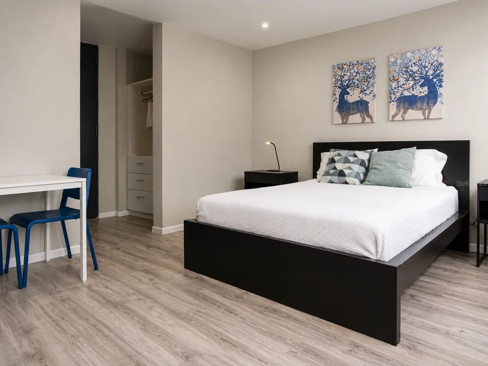 63 KING'S COURT STREET #3D San Juan, PR 00911