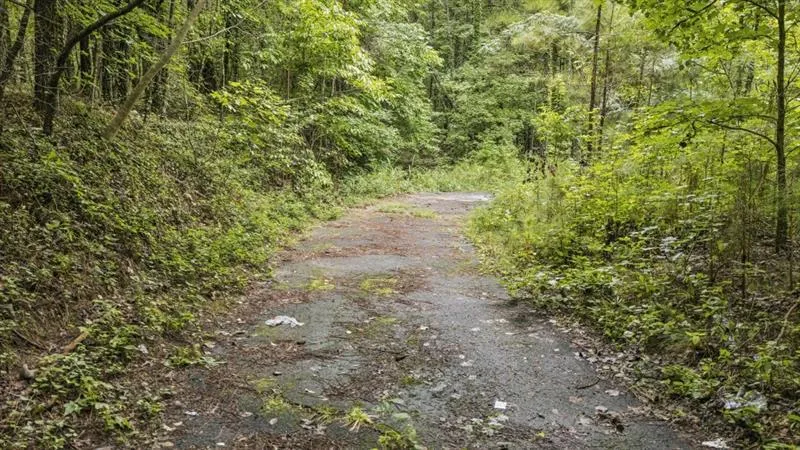 6733 Highway 155 Stockbridge, GA 30281