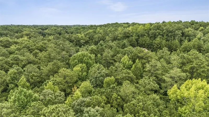 6733 Highway 155 Stockbridge, GA 30281