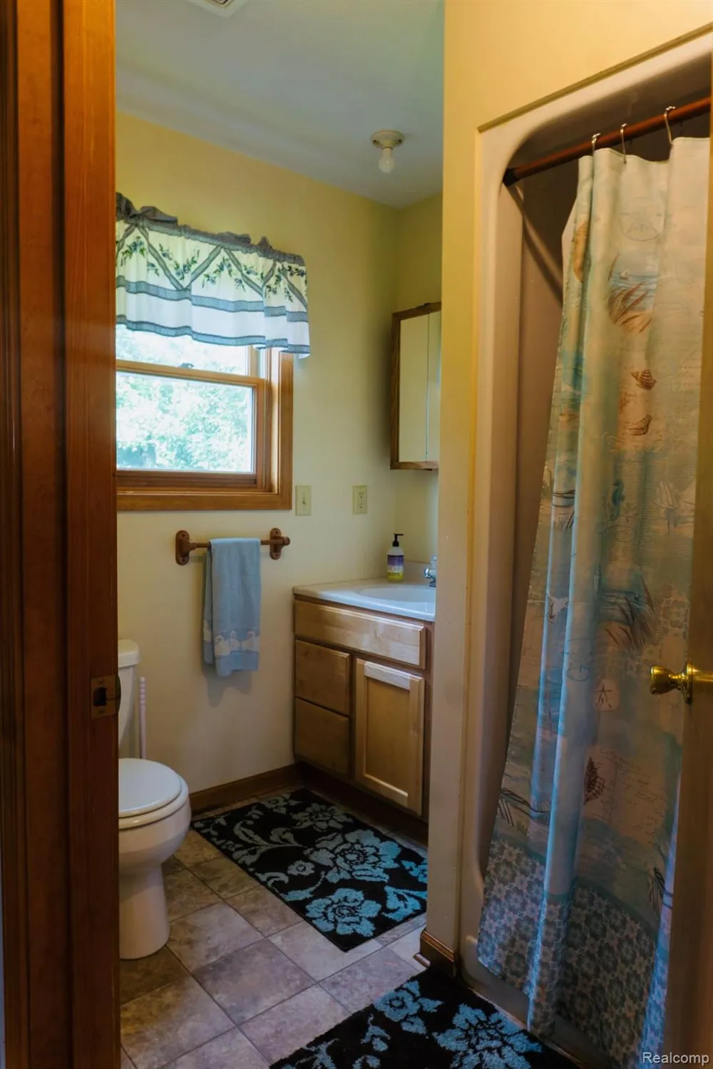 32575 W May Naomi Drive Trout Lake Township, MI 49793