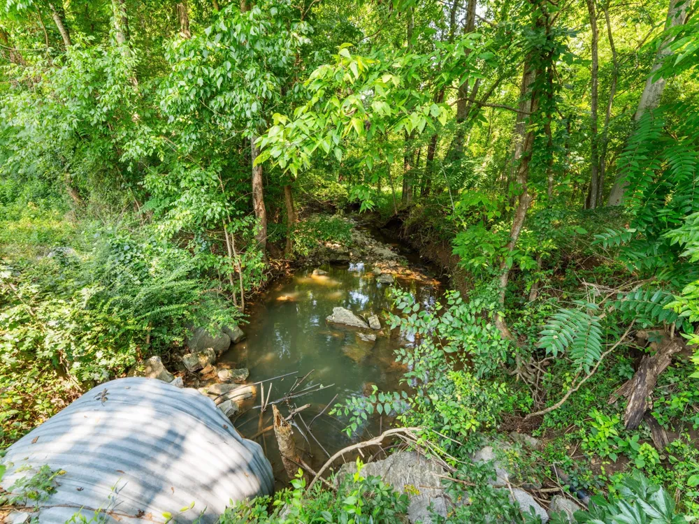 4 Reece Church Rd Columbia, TN 38401