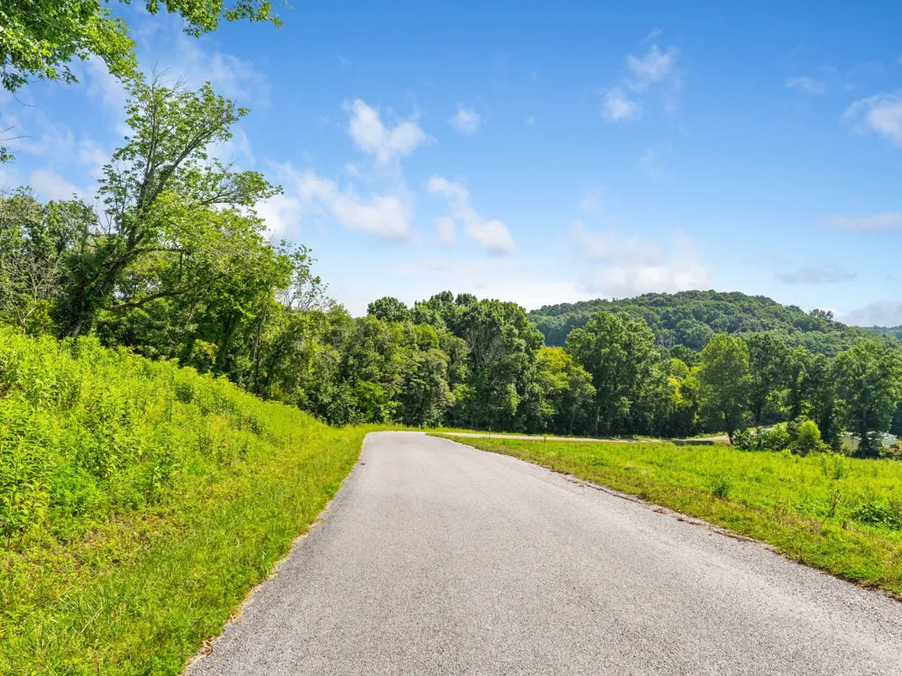 4 Reece Church Rd Columbia, TN 38401