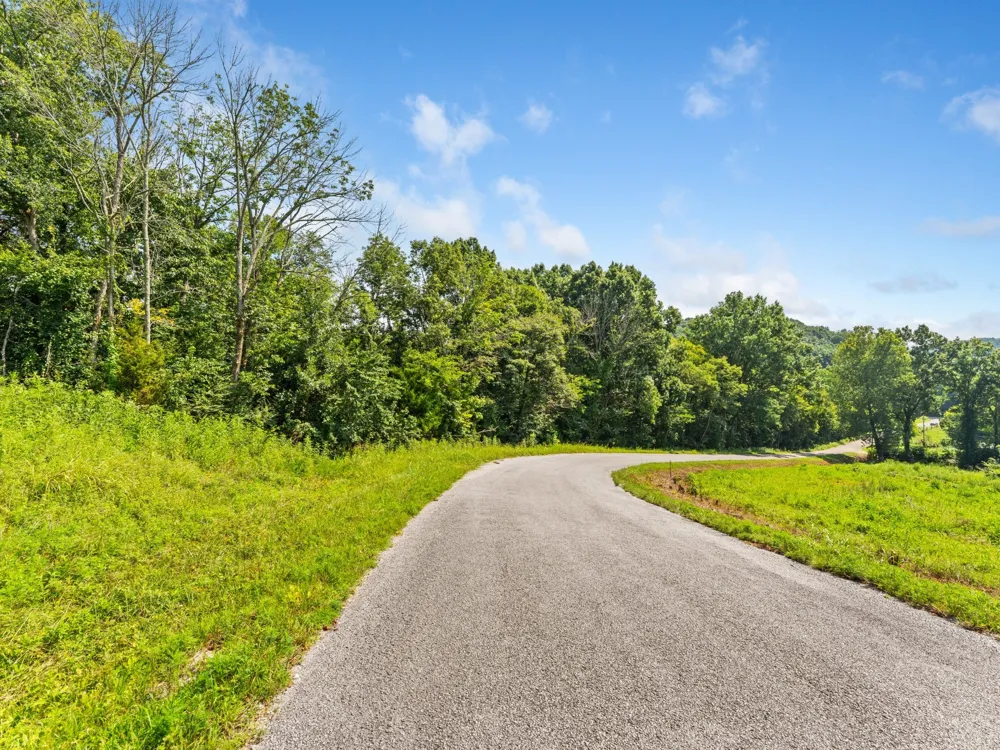 4 Reece Church Rd Columbia, TN 38401